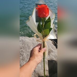 Meet your Posher, Jackie